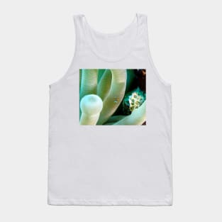 Squat Cleaner Shrimp and Giant Sea Anemone Tank Top